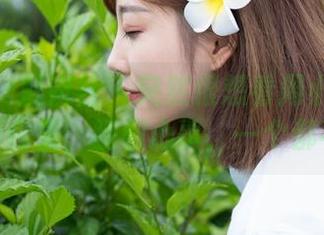 MiStar魅妍社 - 突然很想看周小然的美腿写真合集,腿和心事,一个都不能少