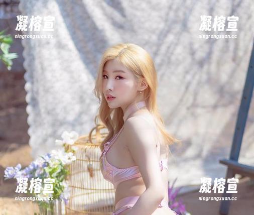 Yebin(전예빈)的网盘和那些秘书作品，总能让我置身于小小的幻想中。