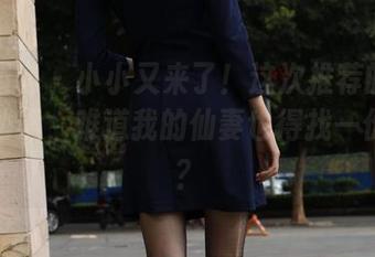异思趣向 - 小小又来了!这次推荐的最新家有仙妻,难道我的仙妻也得找一份资源?